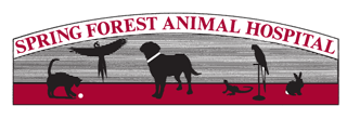 Spring Forest Animal Hospital | Raleigh NC | Veterinary
