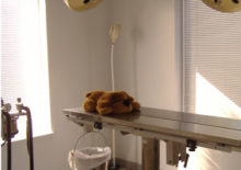 Spring Forest Animal Hospital in Raleigh North Carolina in- house surgical suite, surgery room in Raleigh animal hospital
