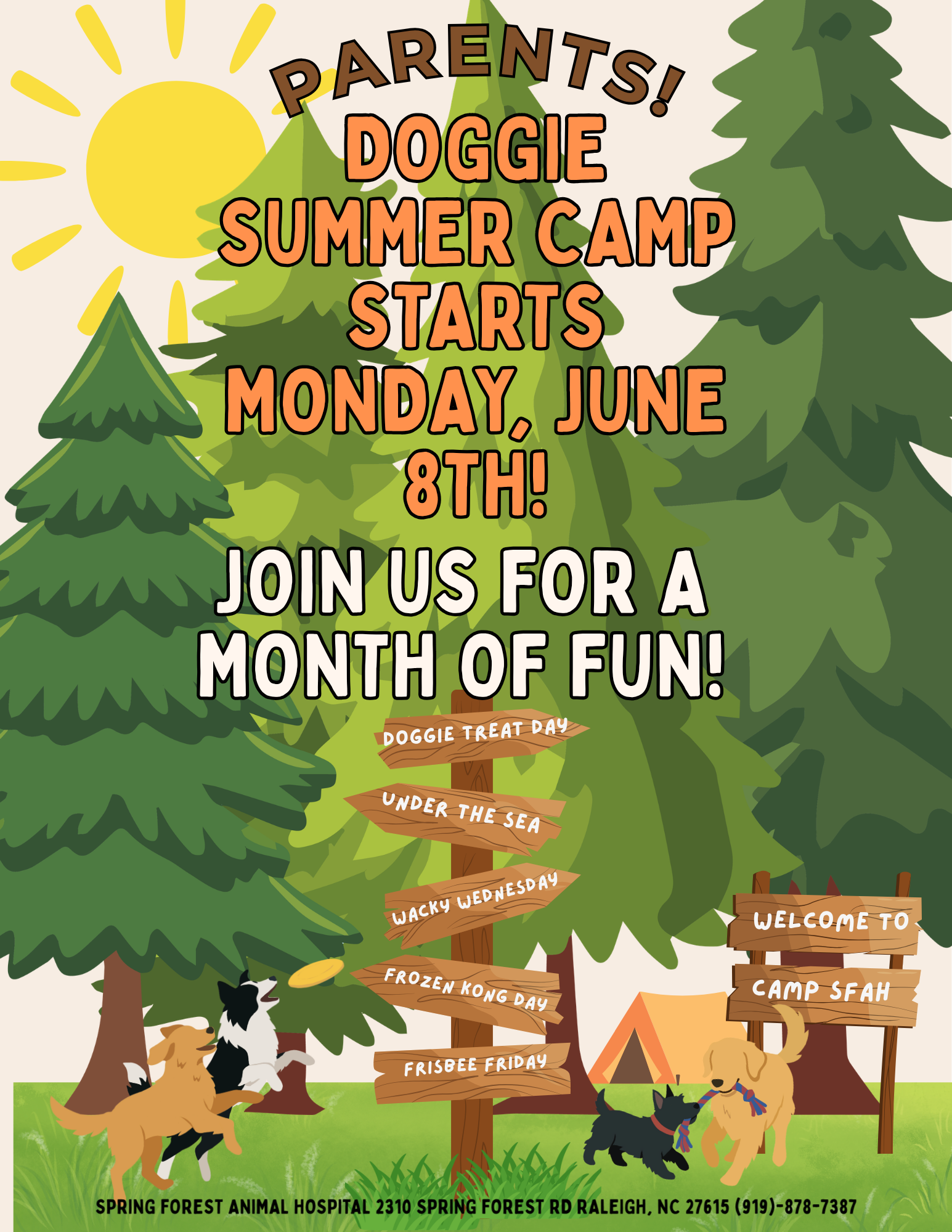 Doggie Summer Camp starting June 8th flyer